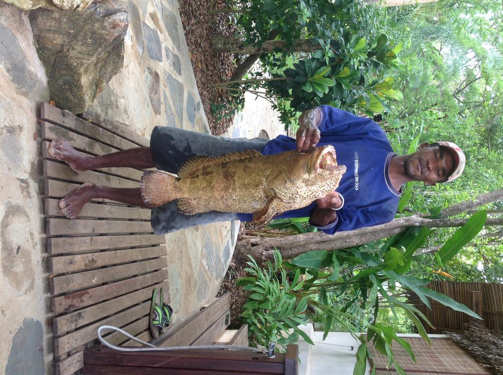 Coco Komba Lodge Nosy Komba المظهر الخارجي الصورة