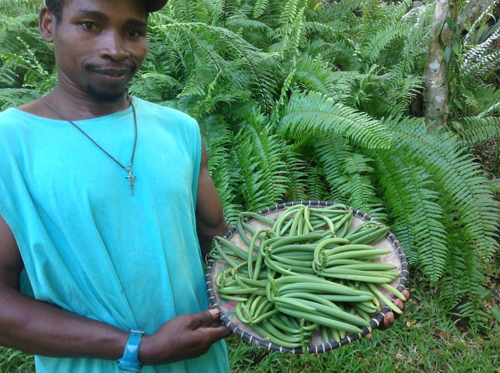 Coco Komba Lodge Nosy Komba المظهر الخارجي الصورة